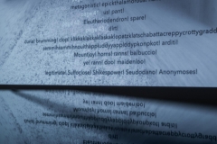 words-exclamation-09-scaled